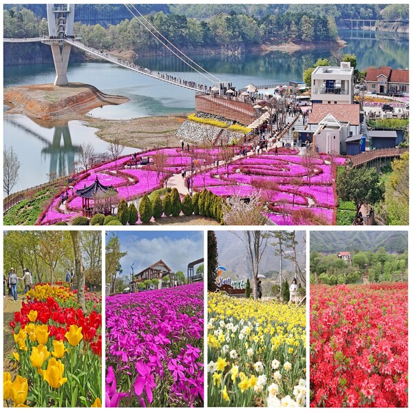 임실 옥정호 작약 꽃밭, 임실 가볼만한 곳 추천✨