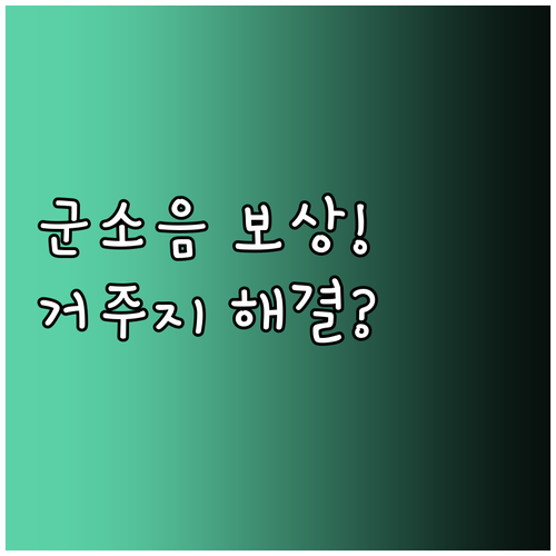 군소음 보상금 실제 거주지와 전입신고..