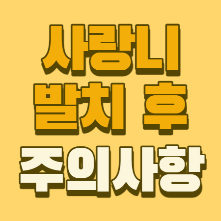 사랑니 발치 후 주의사항