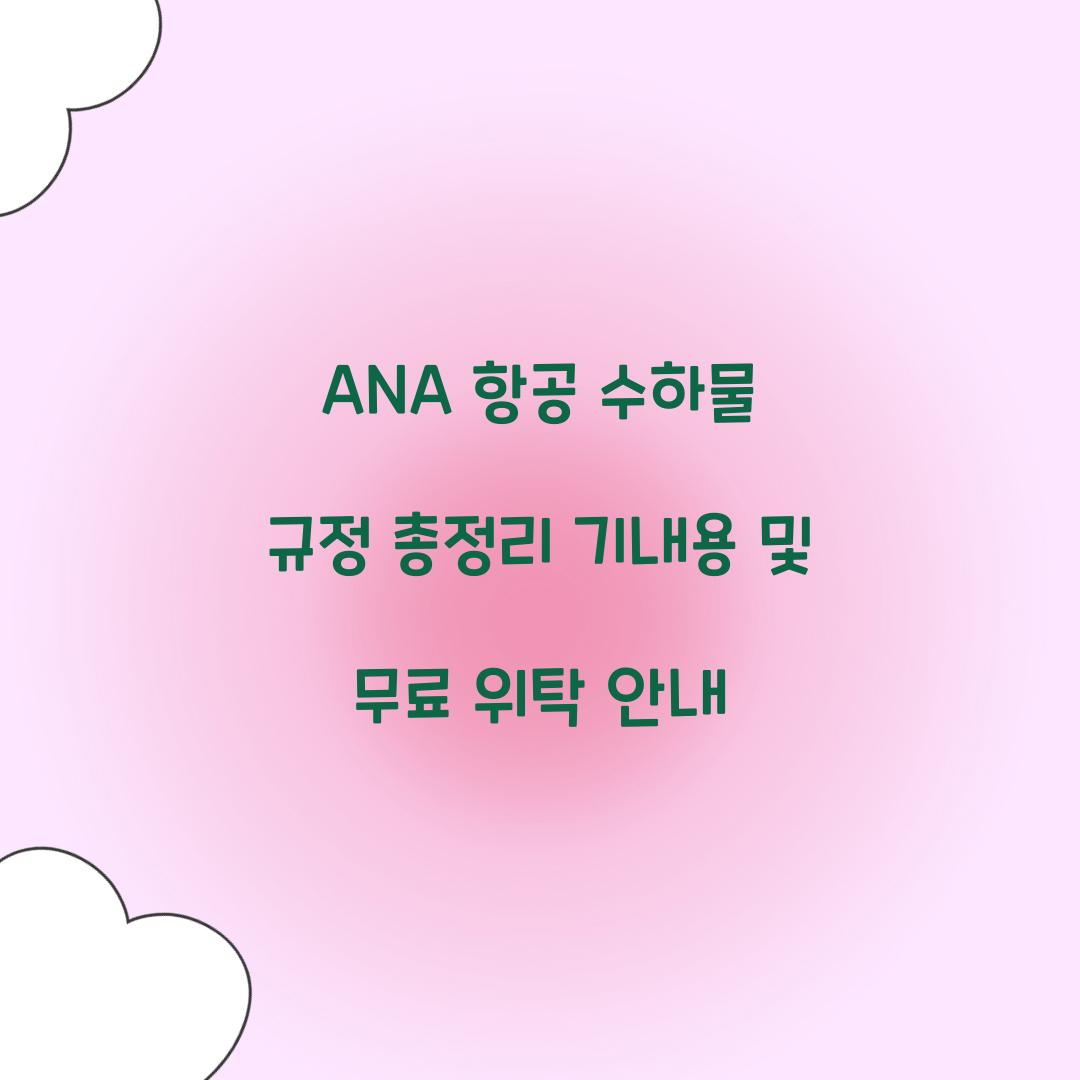 ANA 항공 수하물 규정