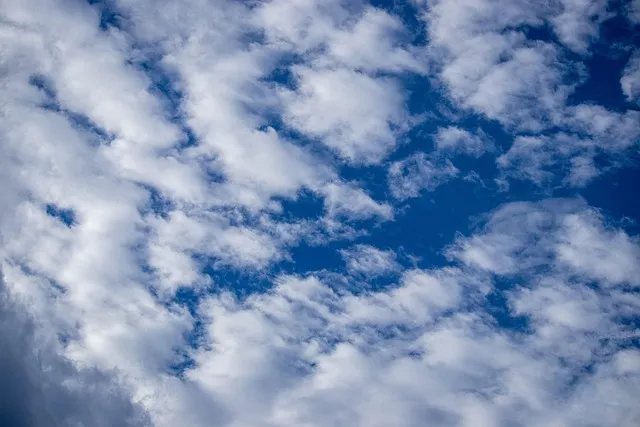 무료 음악 다운로드 사이트 추천 모음과 사용 팁 정리_9