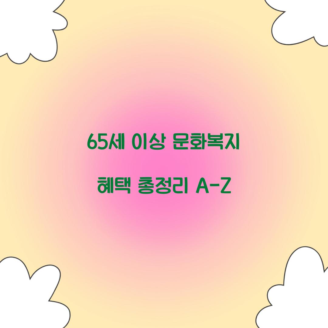 65세 이상 문화복지