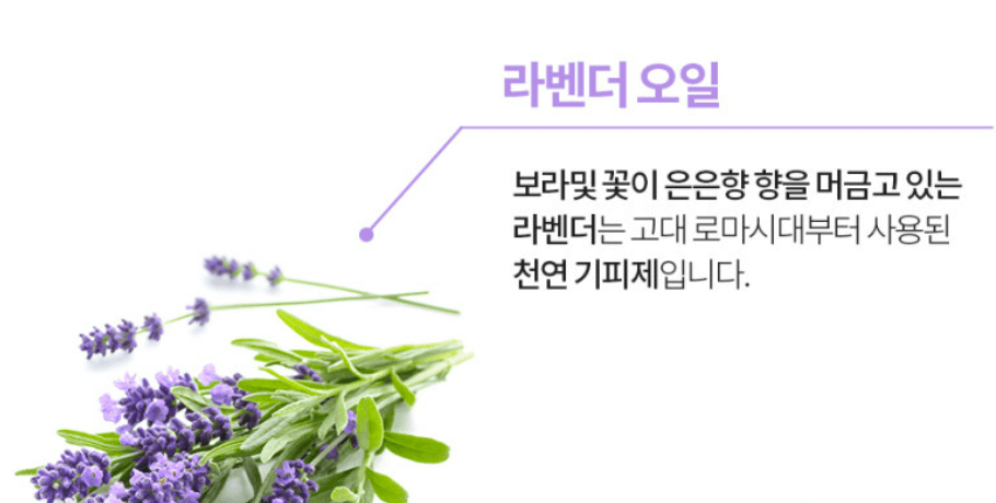 빈대 퇴치제(빈대 살충제) 순위 및 추천 TOP 5