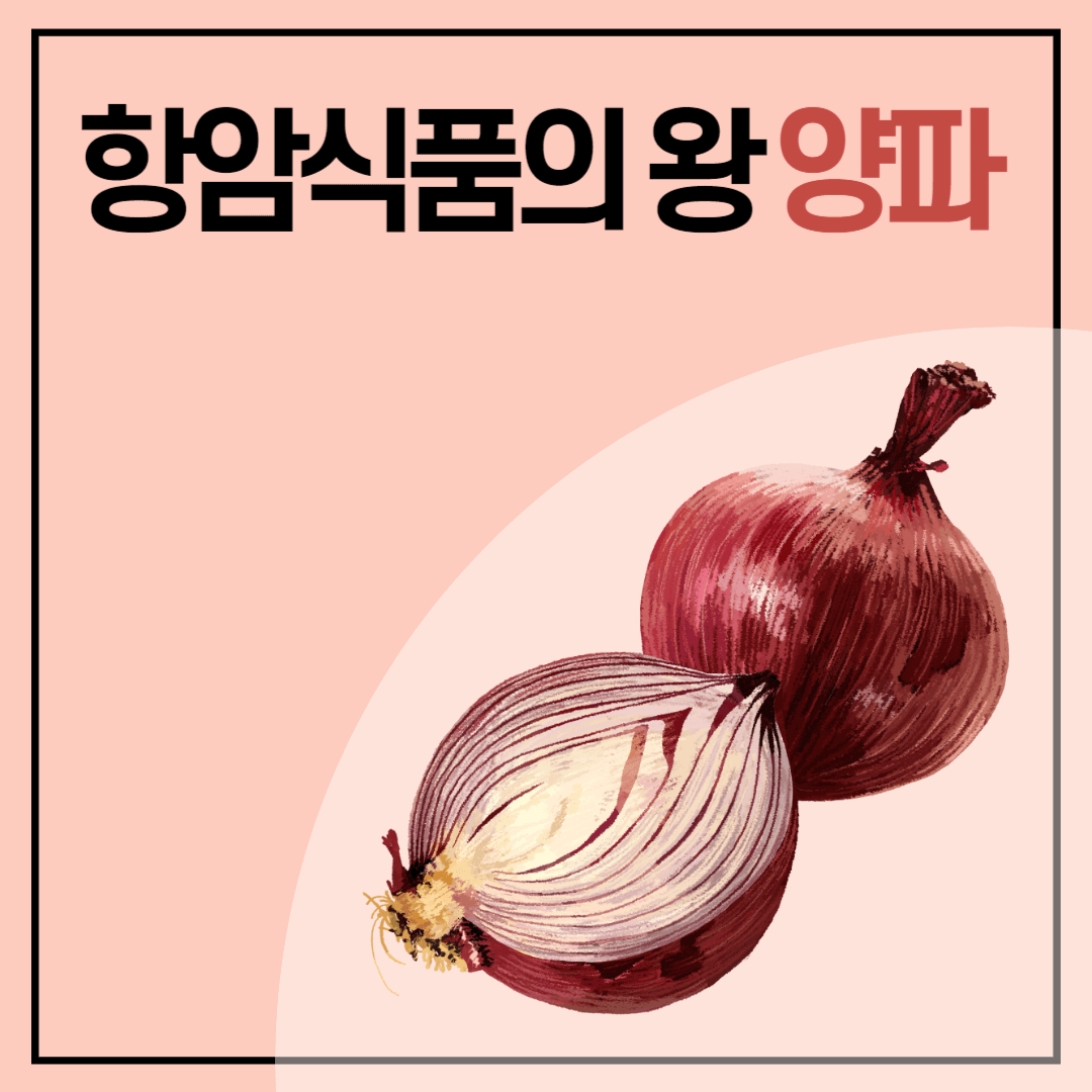 한국 음식에서 빼놓을 수 없는 식재료 중 하나인 양파. 

이 양파가 맛과 영양은 물론 항암에도 좋다는 사실 알고 계셨나요? 항암식품의 왕으로 양파가 소개된 티비 프로그램을 본적이 있어서 저도 그 이후로 자주 챙겨먹으려고 하는 식재료입니다. 그래서 오늘은 양파의 효능과 효과를 소개합니다. 항암중인 환자가 아니더라도 어린이와 성인 모두 꾸준히 챙겨 먹으면 건강에 정말 좋겠죠? 

항암식품 양파의 효능항암식품 양파의 효능항암식품 양파의 효능
항암식품 양파의 효능




# 양파

&lt;양파링&gt; 이라는 과자를 생각해보시면 양파가 식재료로 얼마나 많이 쓰이는지 짐작할 수 있습니다. 오죽하면 아이들이먹는 과자의 이름과 원료가 양파가 들어갈까요? (실제 양파링에 들어있는 양파의 양은 기대하지 않는 게 좋을 것 같습니다.) 양파는 그만큼 건강에도 좋고 식재료로 달콤하고 시원한 맛을 내는 훌륭한 재료입니다. 



항암식품 양파의 효능
항암식품 양파의 효능


# 항암에 좋은 음식

양파는 항암음식으로 손꼽히는 식품입니다. 

우리나라의 사망원인 1위인 암. 그중에서도 위암과 대장암이 1&#44;2위 선두를 다투고 있습니다. 위암과 대장암은 먹는 것. 즉 식습관과 가장 관련이 높은 암입니다. 그만큼 먹는 것으로 암을 예방할 수도 있고 암을 유발할 수도 있다는 뜻으로 해석되기도 합니다.

항암식품 양파의 효능항암식품 양파의 효능항암식품 양파의 효능
항암식품 양파의 효능


그럼 왜 양파가 항암에 좋을까요? 바로 양파의 항산화 성분인 퀘르세틴(Quercetin) 성분입니다. 항염&#44; 항산화 효과가 뛰어난 퀘르세틴. 케르세틴이라고도 부르는 이 것은 대장암&#44;위암&#44;폐암&#44; 난소암&#44; 방광암 등 효과가 있다고 합니다. 이러한 항산화 물질 덕분에 몸의 손상이나 노화를 방어하고 늦춰주고 대장이나 위에 생길 수 있는 염증을 막아주기 때문에 암세포로 확산되는 것을 차단해 항암효과를 기대할 수 있는 것입니다. 암에 좋은 양파를 충분히 섭취하면서 적절한 운동과 생활습관을 유지해주세요. 건강 걱정은 잠시 안녕! 





# 양파의 효능

위에서 언급한 항암효과 외에도 양파는 만병통치약이라고 불릴만큼 대단한 식재료입니다. 이 글을 보신 분이시라면 이제부터 1일 1양파 해야할 것 같습니다. 건강해지는 느낌이 벌써부터 드네요! 

항암식품 양파의 효능항암식품 양파의 효능
항암식품 양파의 효능


헬리코박터균으로부터 위를 보호하여 위염&#44; 위궤양&#44; 위암 등의 질환을 예방
 간의 해독기능의 핵심성분 글루타치온의 유도체가 함유되어 있어 해독과 숙취 해소에 탁월
양파의 매운맛 알린이 혈액순환을 원활하게 하고 신경을 안정시켜 불면증과 기억력 향상에 도움
콜레스테롤을 분해하고 혈압을 내리는 성분이 있어 성인병 예방에 도움
글루타치온 전도체 성분으로 노인 안질환의 대표질병인 백내장을 예방
익히지 않은 양파를 섭취하거나 샐러드&#44; 샌드위치에 활용하여 식중독균을 억제하여 살균효과를 기대
양파의 섬유질이 장의 운동을 활발하게 하여 변비를 예방하고 중금속 배출에 도움
양파의 칼슘과 성장호르몬을 촉진시켜주는 성분의 함유로 어린이&#44; 성장기 청소년 성장에 도움
양파즙의 인슐린 분비를 촉진시켜 당뇨병 치료 및 혈당저하&#44; 당뇨병 예방에 도움
이렇게나 많은 효과가 있다니&#44; 안먹으면 손해인 양파!

설탕대신 양파로 단맛을 내고&#44; 샐러드와 샌드위치에는 꼭 양파를&#44; 양파 짱아치나 야채볶음&#44; 고기구울 때 짝꿍으로 양파를 이용해서 요리하시기를 추천합니다. 이 겨울 달콤한 양파스프도 빠질 수 없겠네요:) 


항암식품 양파의 효능