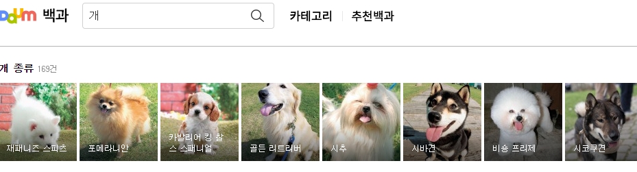 다양한 견종의 사진과 이름이 나열된 검색 결과 리스트