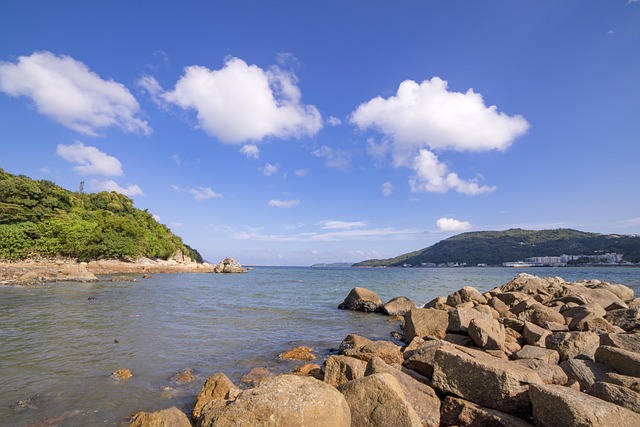 군산 선유도 반려견과 가볼 만한 해변 산책코스