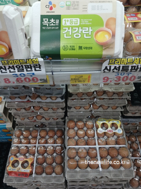 비타민B2와 비오틴이 풍부한 계란 진열대 모습