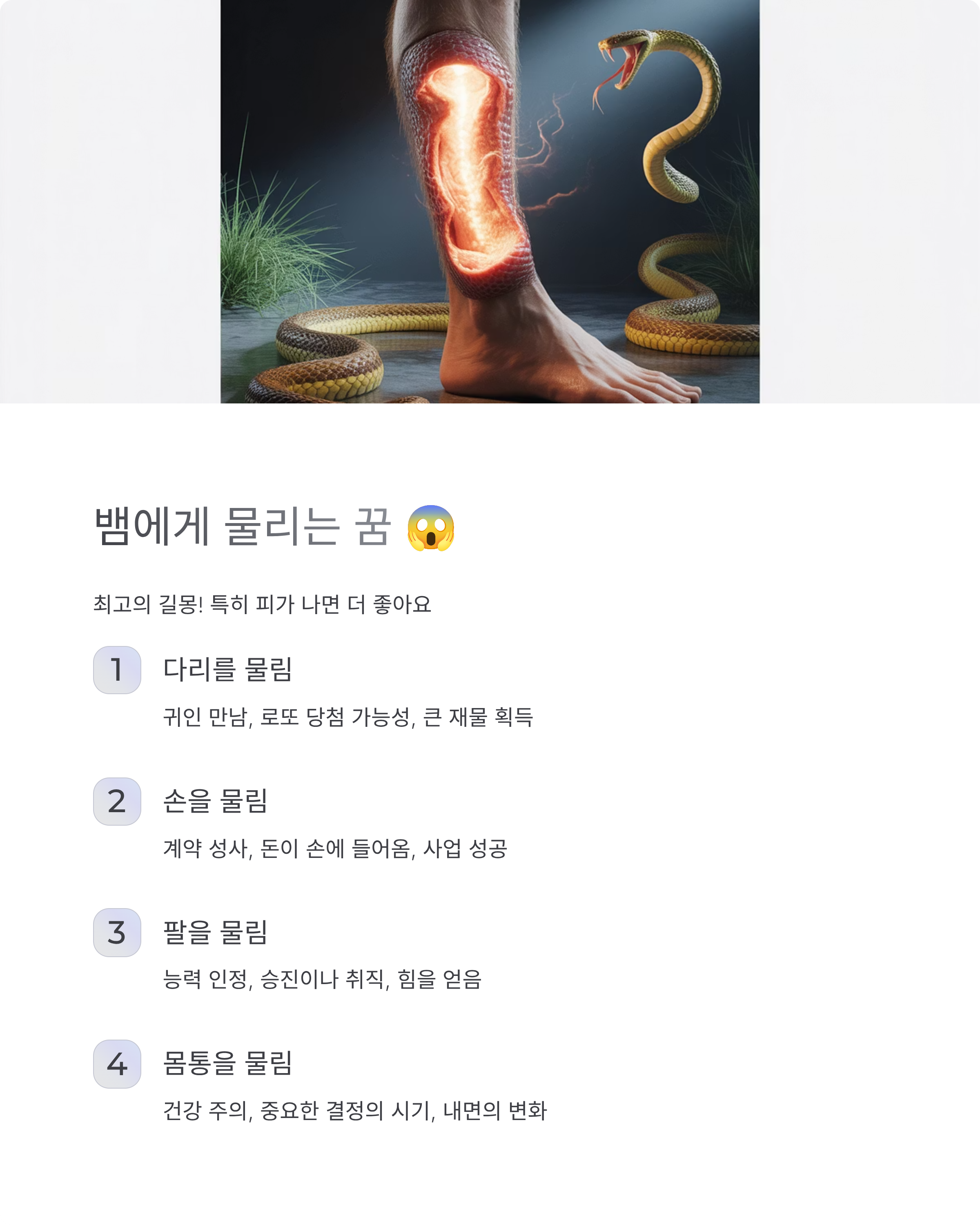 뱀꿈 해몽 총정리