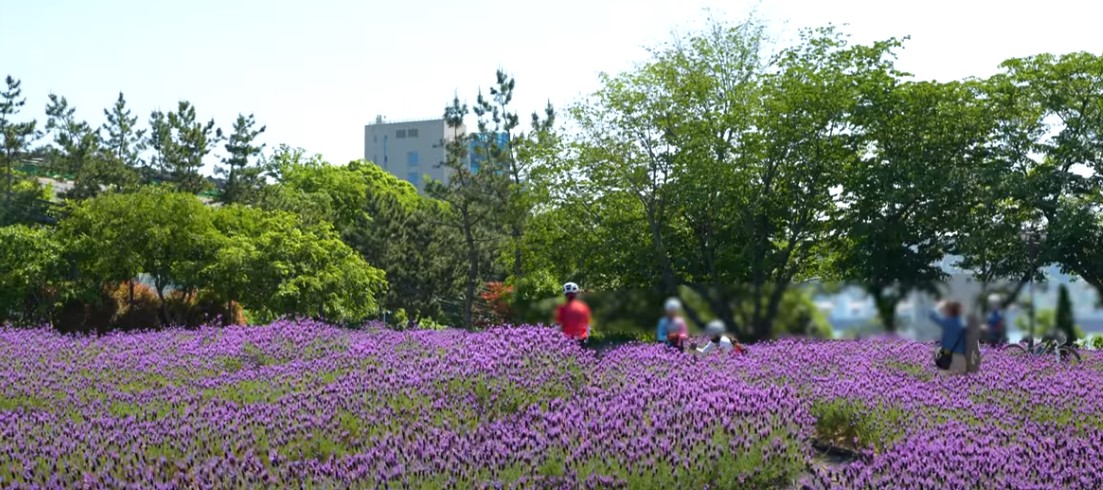 5월에 꼭 가봐야 할 적국 봄꽃 명소
