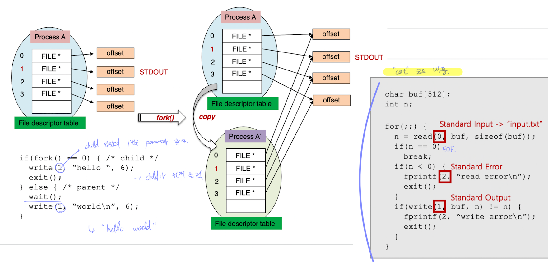 File Descriptor Table 구조로 보는 "cat" 명령어의 실행 과정