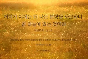 히브리서 12장 1절 묵상 - 이러므로 우리에게 구름 같이 둘러싼 허다한 증인들이 있으니_26