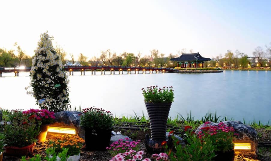 아름다운-궁남지의-모습