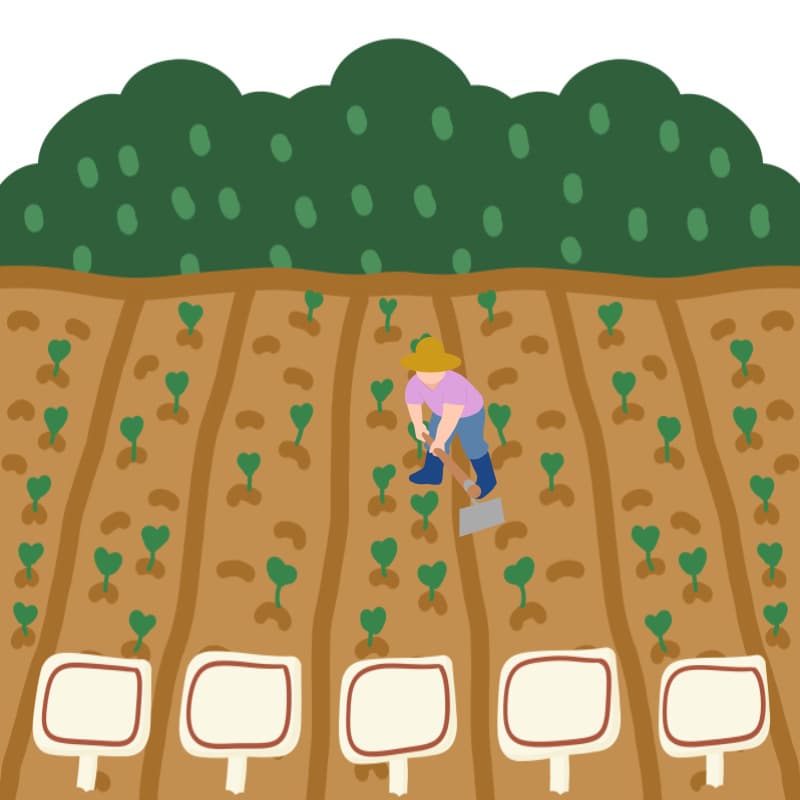 배수 상태 점검부터! – 물 빠짐이 생명입니다