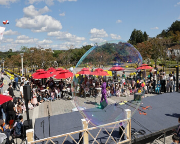 진안홍삼축제_3