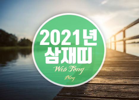 2021년 삼재띠