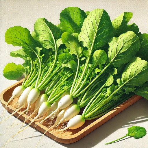 옥상텃밭, 베란다 텃밭 가꾸기 15.열무