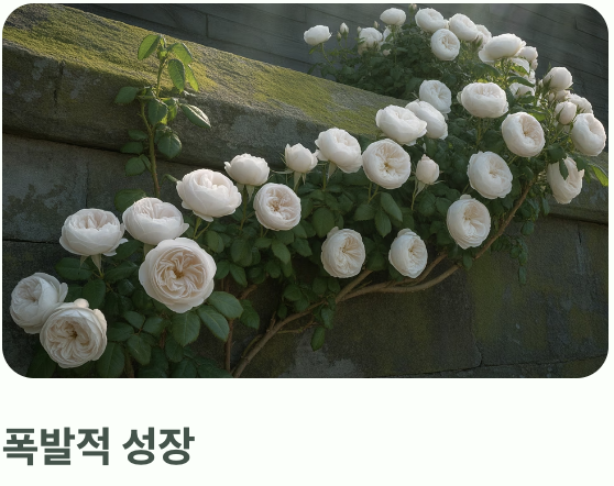 늦가을 심기: 전문가들이 선호하는 이유