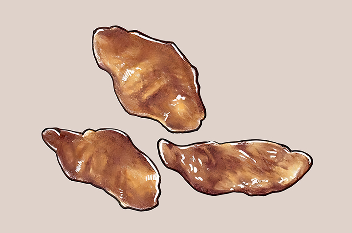 숙지황-하루-섭취-권장량