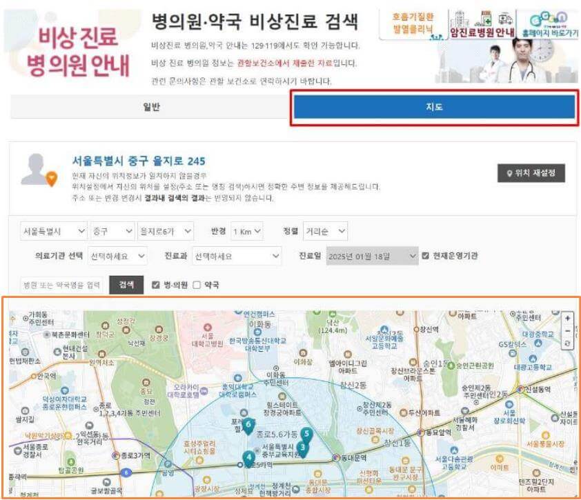 휴일 진료 병원, 약국 정보