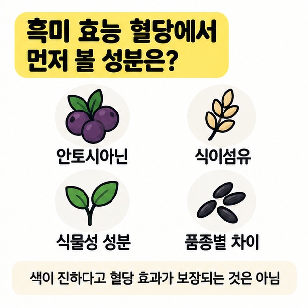 흑미의 안토시아닌과 식이섬유, 품종별 혈당 차이를 정리한 그림