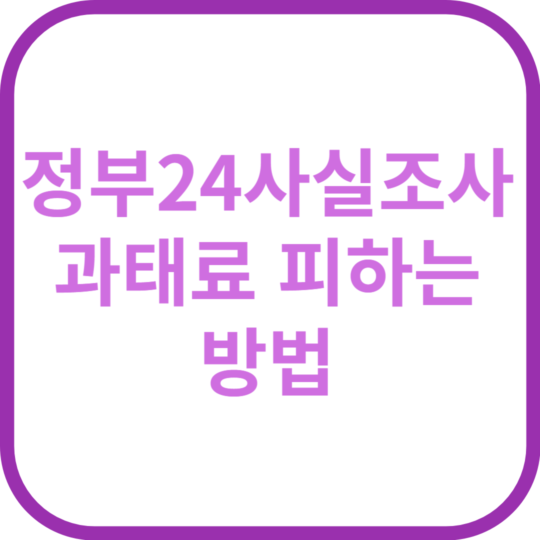정부24사실조사로 과태료 피하는 방법