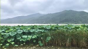 10월 서울근교 가볼만한 곳 베스트