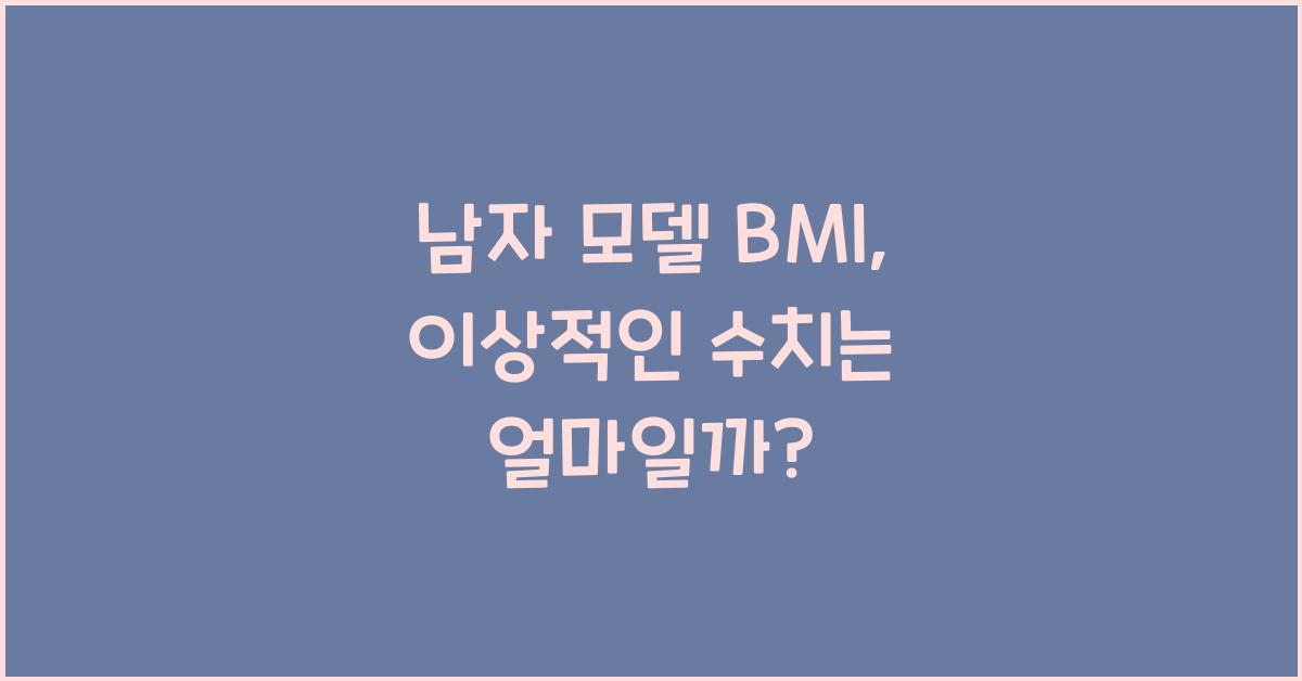 남자 모델 bmi
