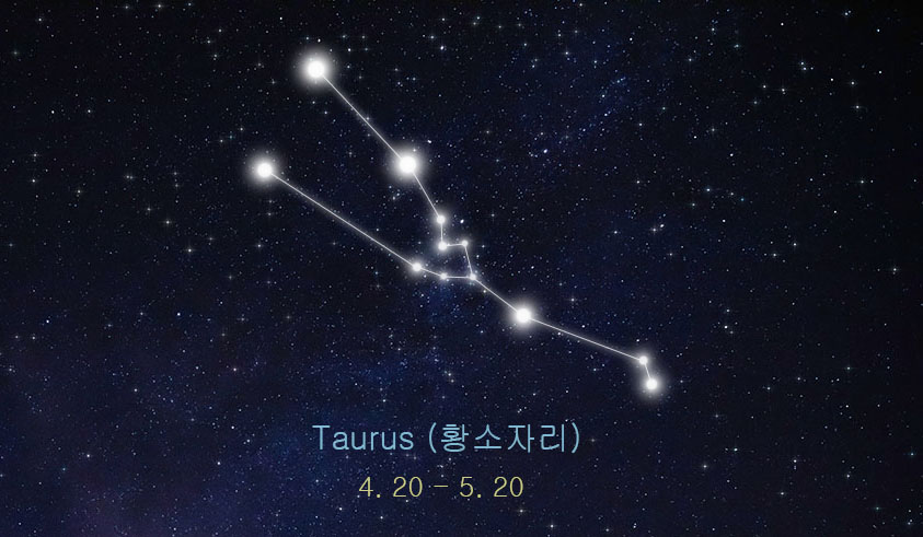 황소자리 관련 이미지