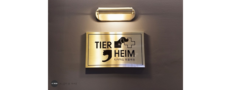 세종시 동물병원