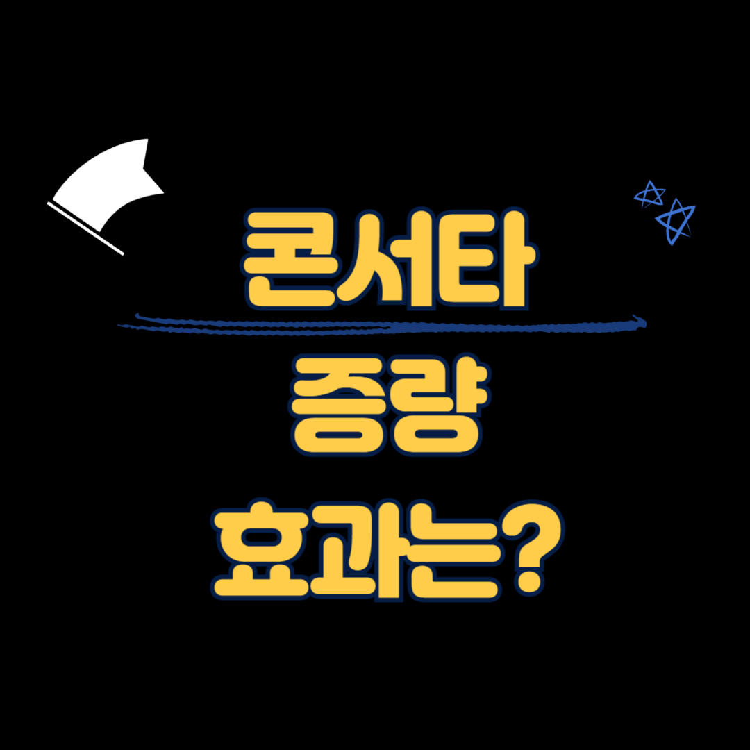 콘서타 증량