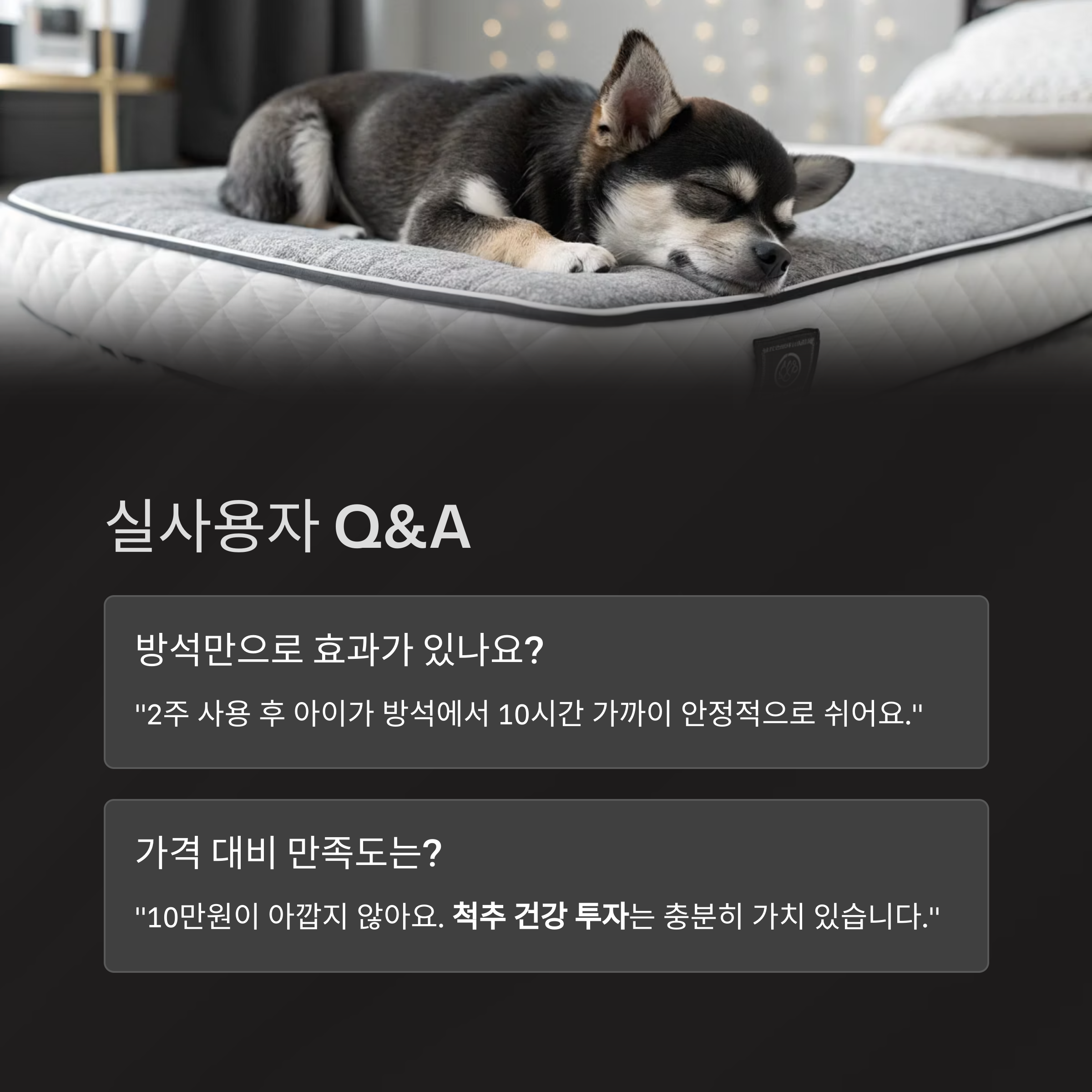 실사용자 Q&amp;A