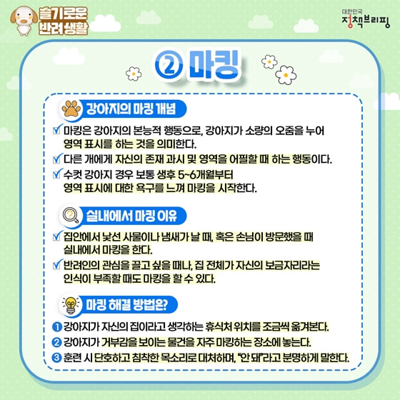 강아지마킹