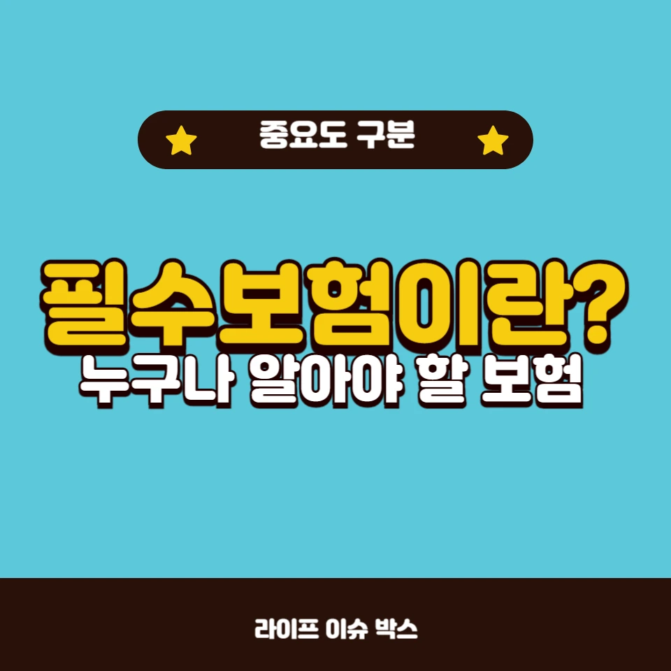 필수보험의 중요성