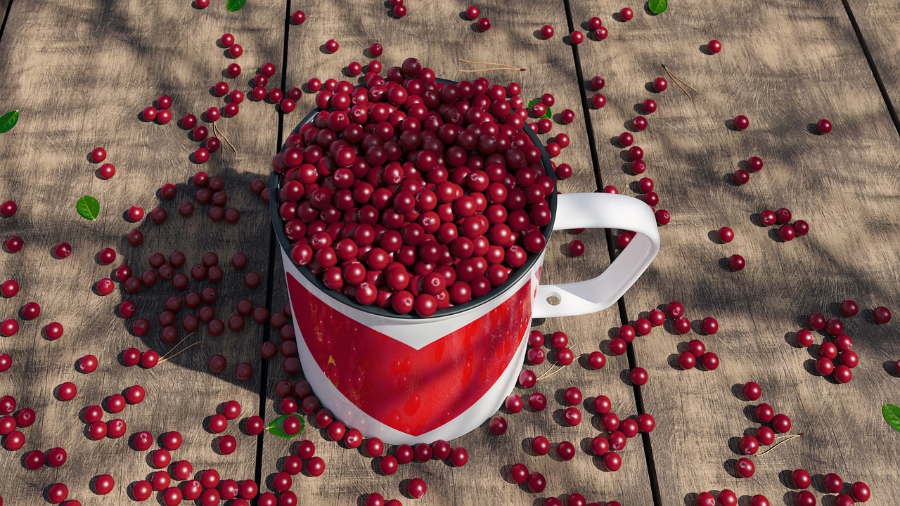 컵에 담긴 링곤베리