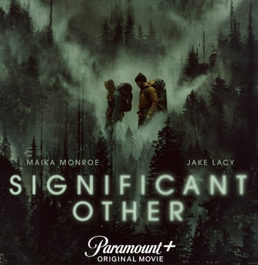 미지의 집착 포스터