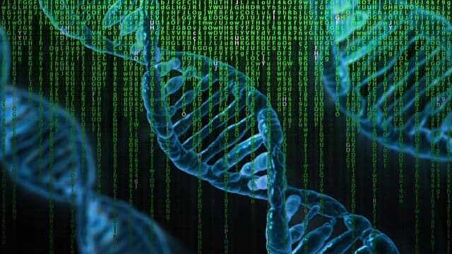 DNA 프로그래밍으로 극한 환경에서 살아남는 생명체 설계