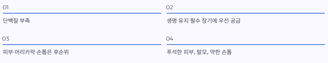 단백질 부족