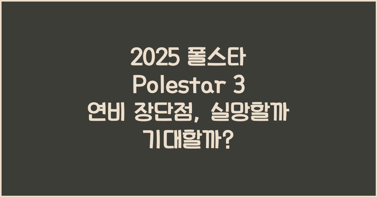 2025 폴스타 Polestar 3 연비 장단점