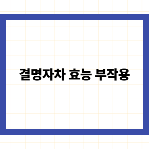 결명자차 효능 부작용