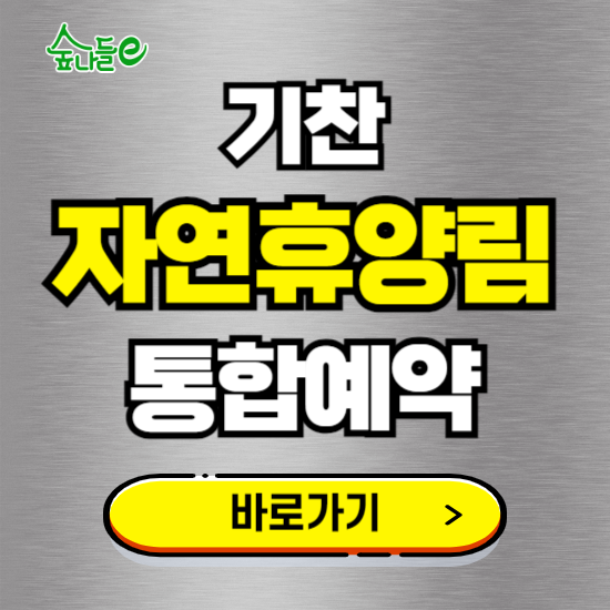 기찬 자연휴양림 온라인 예약하기 ❘ 숙소 야영장 캠핑장 실시간 예약 현황 보기 ❘ 전남 영암군