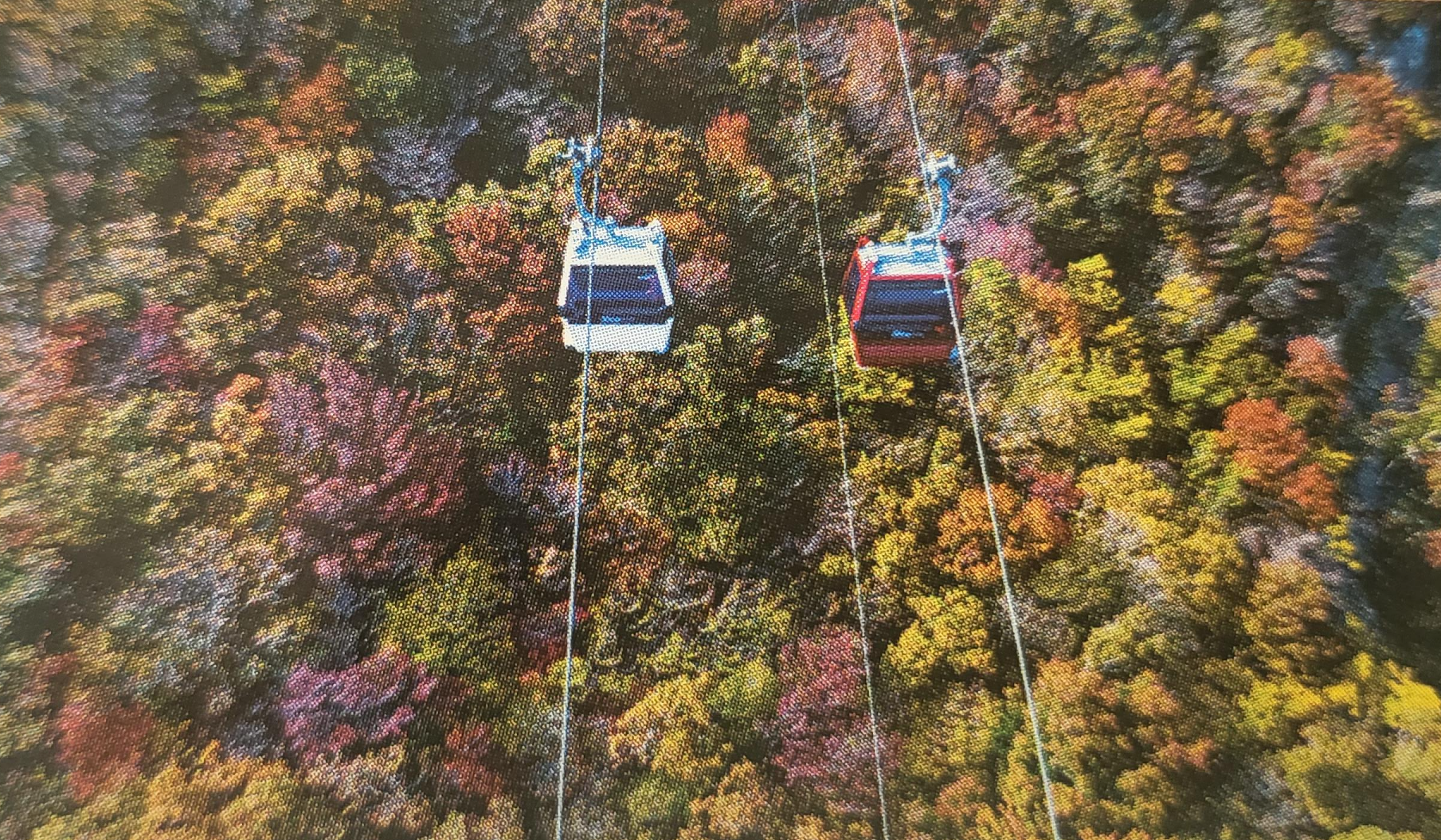 거제파노라마케이블카 이미지