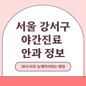 서울 강서구 야간진료 안과 병원 (18시 이후 늦게까지하는 병원)