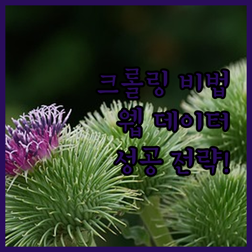 크롤링 전문가가 알려주는 웹 데이터 