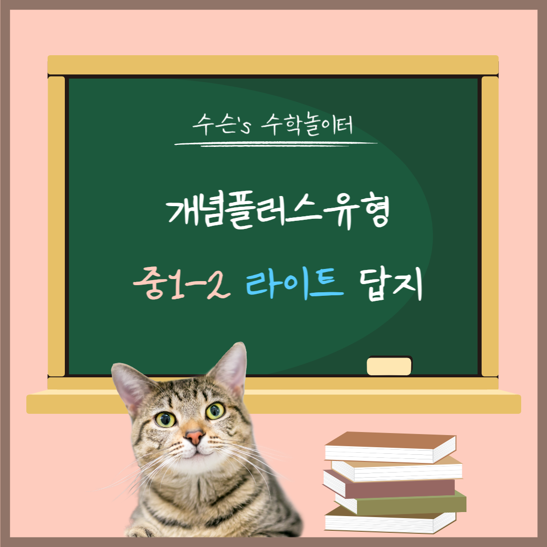 개념플러스유형 라이트 중1-1 답지 대표사진
