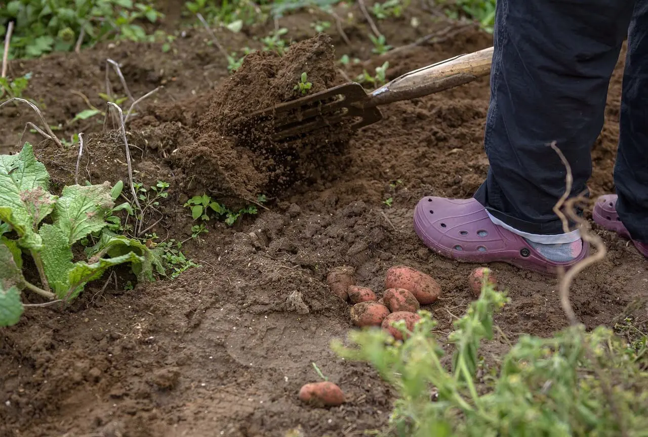 베란다 텃밭으로 한 달 반찬 채소를 해결해 본 현실 기록