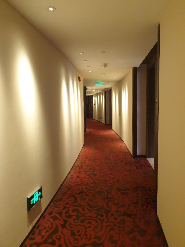 붉은 카페트와 흰색 벽면 그리고 어두운 조명이 특징인 복도