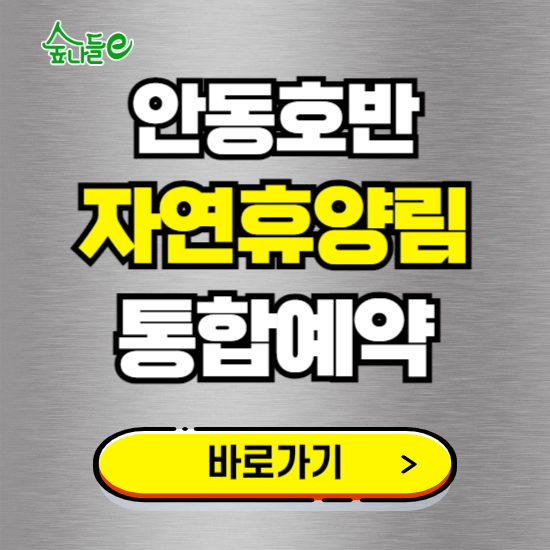 안동호반 자연휴양림 온라인 예약하기 ❘ 숙소 야영장 캠핑장 실시간 예약 현황 보기 ❘ 경북 안동시