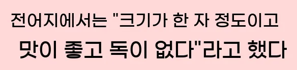  전어지에서는 