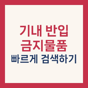 기내 반입 금지 물품 검색