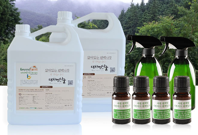 새 집 벌레 먼지다듬이 퇴치방법